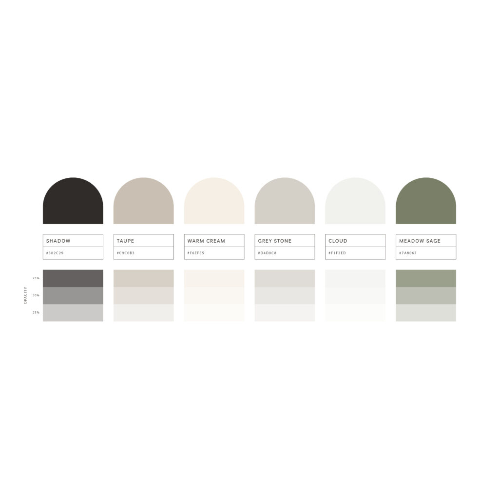 brand development color palette