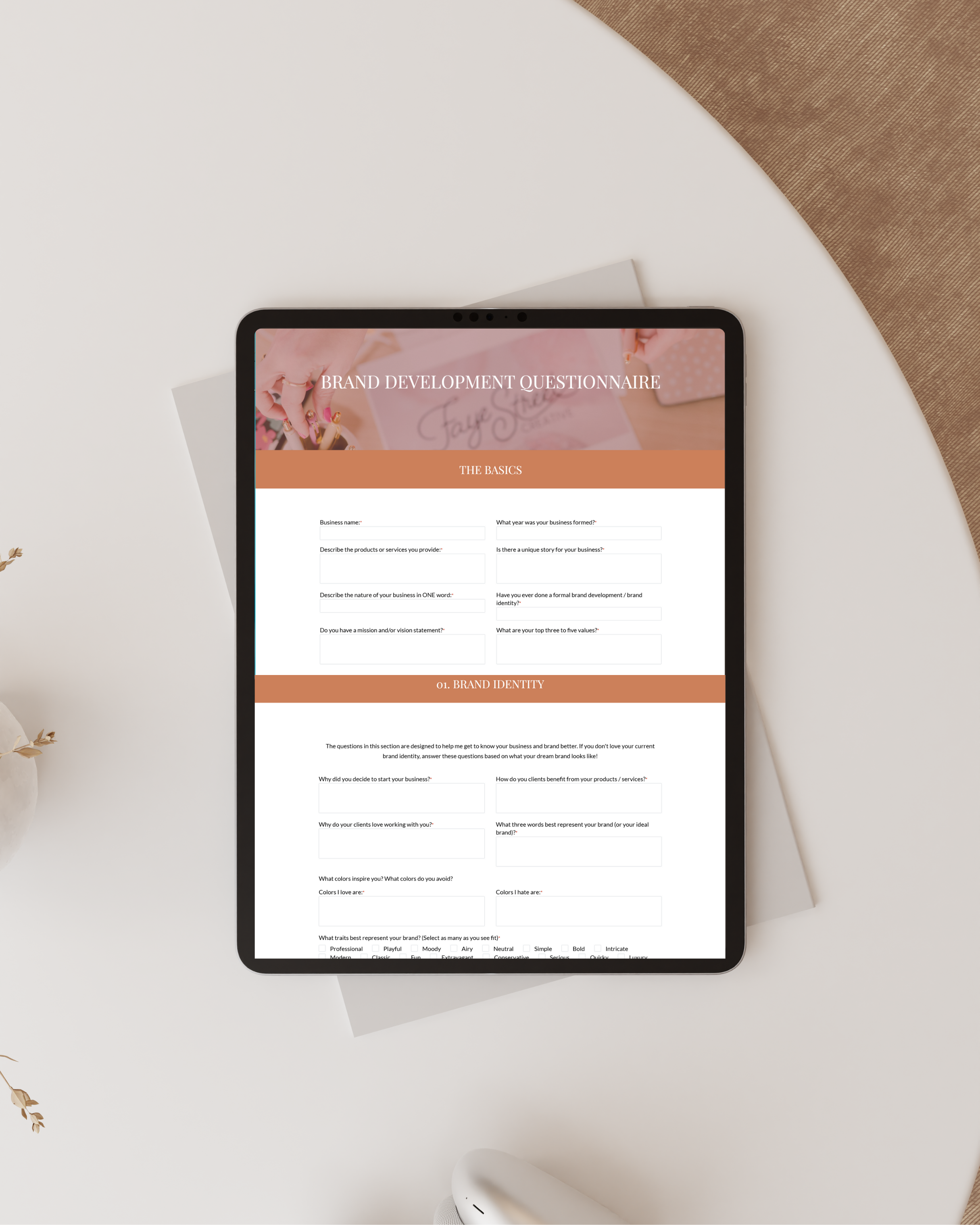 Brand Development Questionnaire on iPad